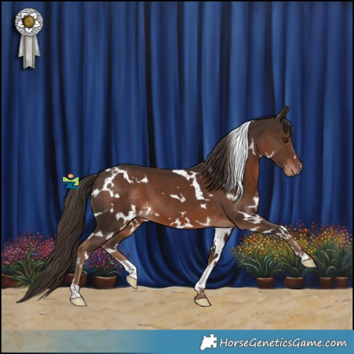 Horse Color:White Spotted Liver Chestnut 