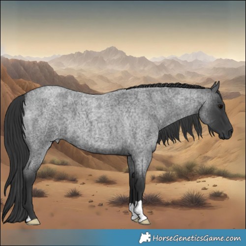 Horse Color:Blue Roan 