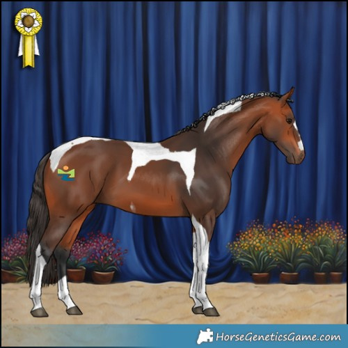 Horse Color:Bay Tobiano 