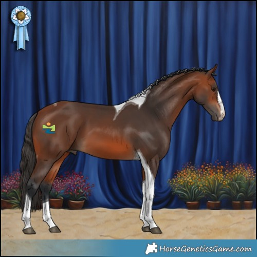 Horse Color:Bay Tobiano 