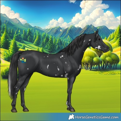 Horse Color:White Spotted Black 
