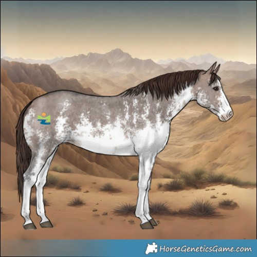 Horse Color:White Spotted Brown Dun Mushroom Sabino Appaloosa 