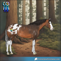 Horse Color:Bay Sabino Splash Blanket