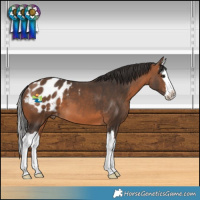 Horse Color:Bay Sabino Splash Blanket 
