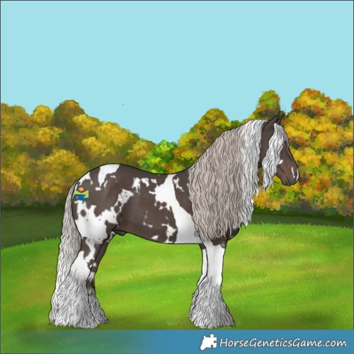 Horse Color:White Spotted Silver Black Tobiano