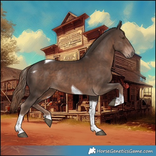 Horse Color:Liver Chestnut Tobiano Rabicano 