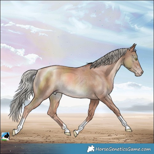 Horse Color:Gold Champagne Mushroom Rabicano 