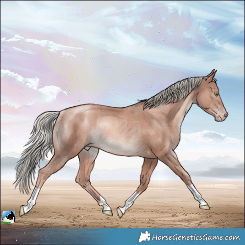 Horse Color:Gold Champagne Mushroom Rabicano 