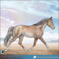 Horse Color:Gold Champagne Mushroom Rabicano 