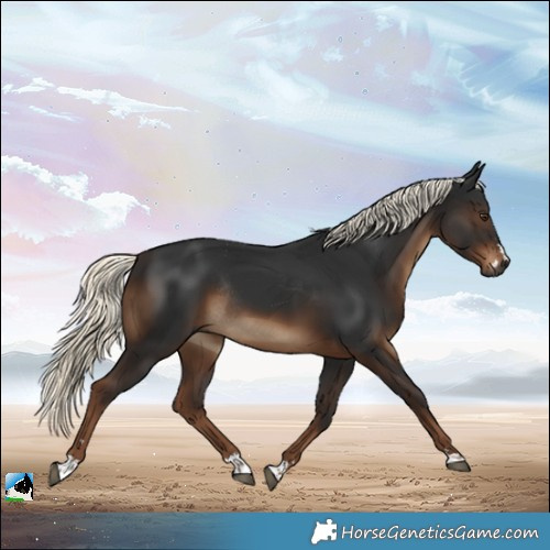 Horse Color:Gray Liver Chestnut Mushroom Rabicano 
