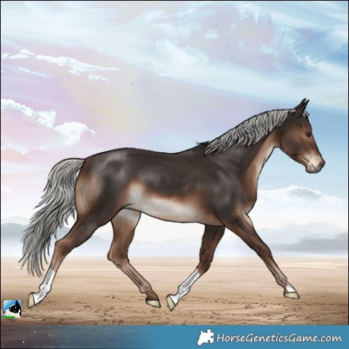 Horse Color:Liver Chestnut Mushroom 