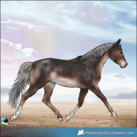 Horse Color:Liver Chestnut Mushroom