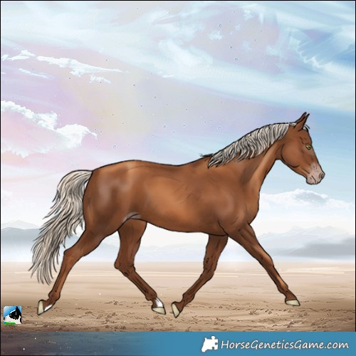 Horse Color:Gray Gold Champagne Mushroom