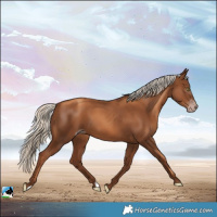 Horse Color:Gray Gold Champagne Mushroom