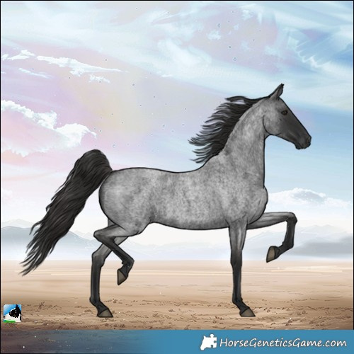Horse Color:Gray White Spotted Liver Red Roan Rabicano 