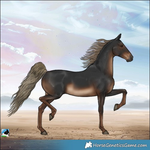 Horse Color:Gray White Spotted Liver Chestnut Mushroom Rabicano 