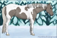 Horse Color:Silver Smoky Blue Roan Tobiano