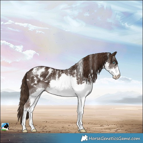 Horse Color:Powder White Liver Chestnut Splash Blanket Rabicano