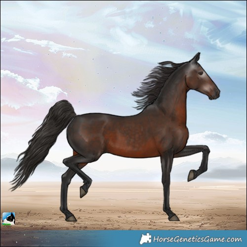 Horse Color:Gray Liver Chestnut Rabicano
