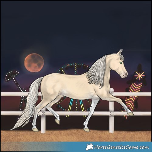 Horse Color:White Spotted Gold Cream Champagne 
