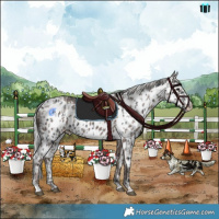 Horse Color:Platinum Black Skewed LP Spotted  and Platinum Silver Black Skewed LP Spotted 