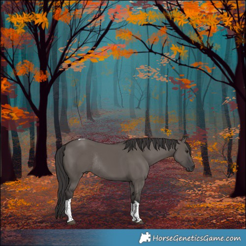 Horse Color:Smoky Grullo Tobiano Rabicano 