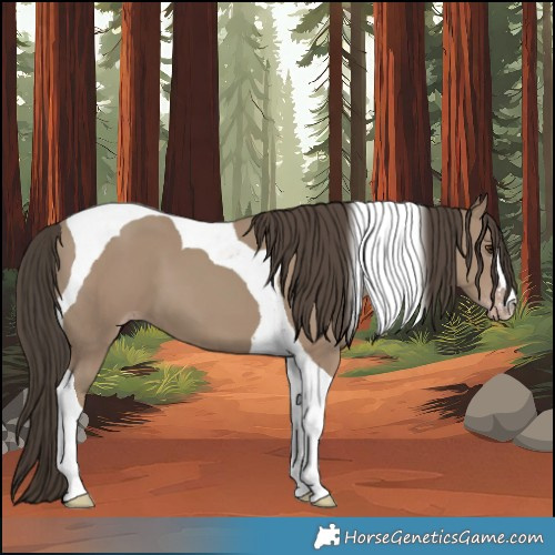 Horse Color:Classic Champagne Tobiano 