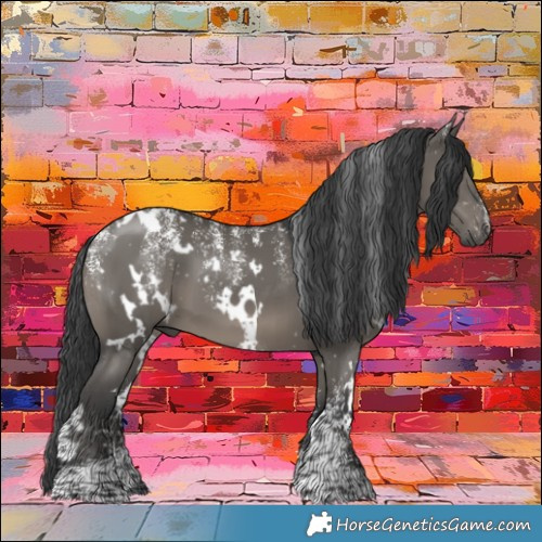 Horse Color:Powder White White Spotted Grullo 