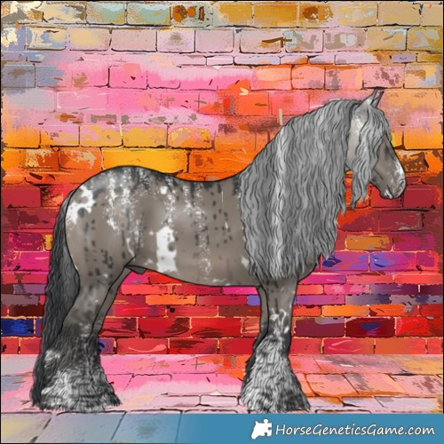 Horse Color:Powder White White Spotted Grullo Brindle 