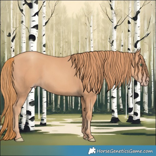 Horse Color:Gold Champagne