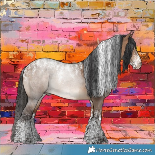 Horse Color:Powder White Bay Dun 