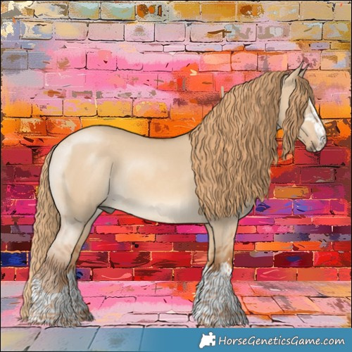Horse Color:Red Dun Rabicano 