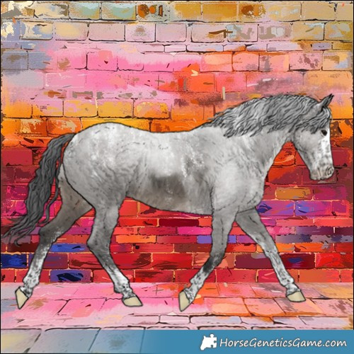 Horse Color:Powder White Grullo Brindle 