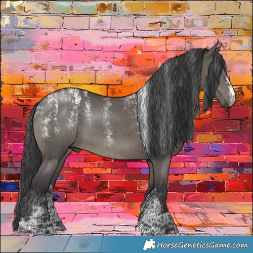 Horse Color:Powder White Grullo Rabicano 