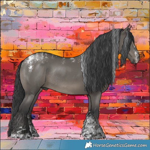 Horse Color:Powder White Grullo Rabicano 