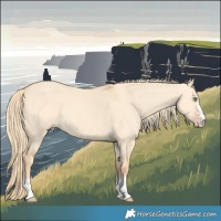 Horse Color:Gold Champagne Dun 