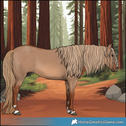 Horse Color:Red Dun 