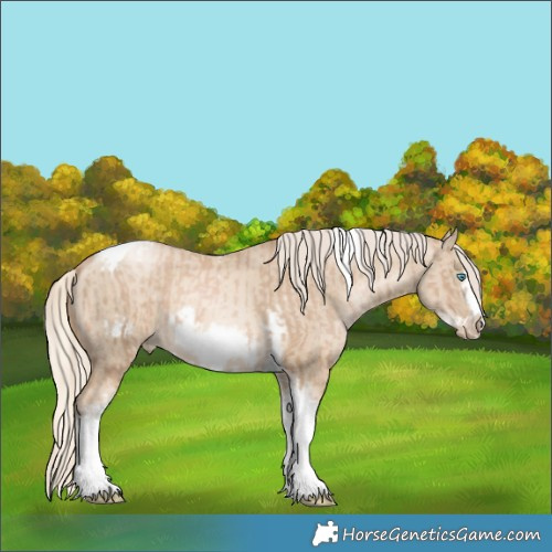 Horse Color:Chocolate Palomino Pearl Tobiano Frame and Chocolate Palomino Pearl Dun Tobiano Frame