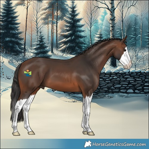 Horse Color:Brown Splash 