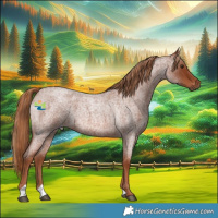 Horse Color:Red Roan 