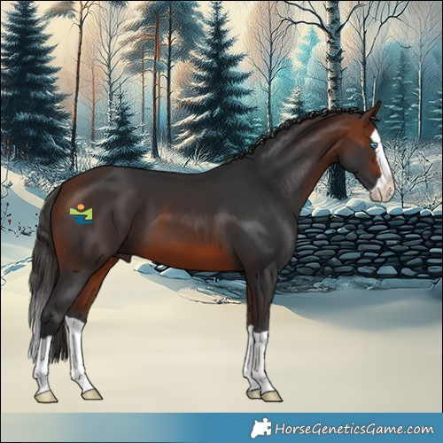 Horse Color:Bay Splash 