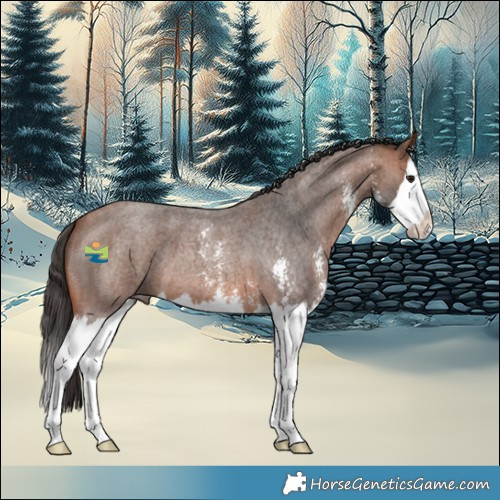 Horse Color:Bay Roan Sabino Splash 