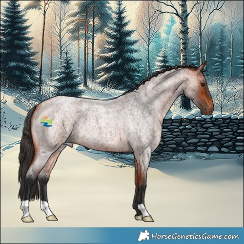 Horse Color:Bay Roan 