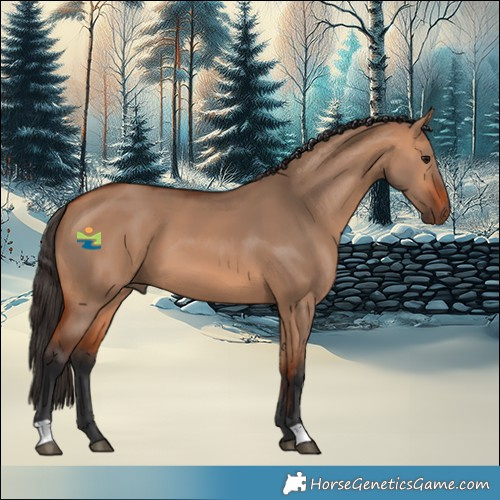 Horse Color:Bay Dun 