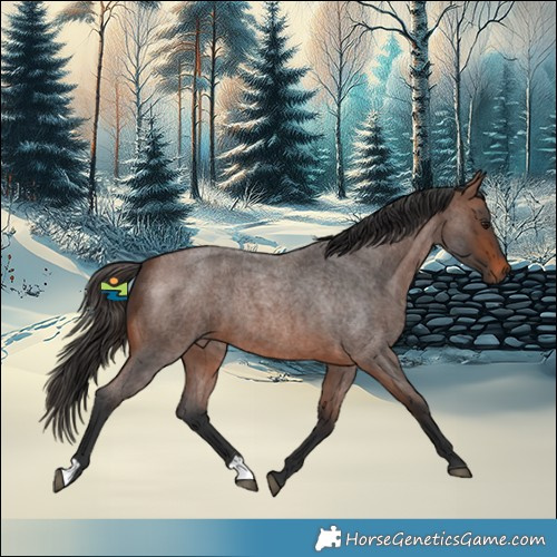 Horse Color:Brown Roan 