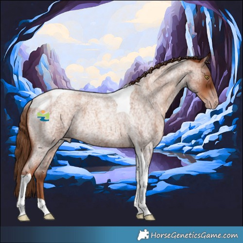 Horse Color:Gray Gold Champagne Roan Tobiano 