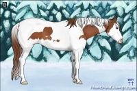 Horse Color:Chestnut Splash Tobiano