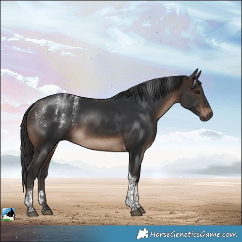 Horse Color:Powder White Brown Tobiano Rabicano