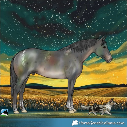 Horse Color:Powder White Brown Merle Rabicano 