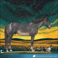 Horse Color:Powder White Brown Merle Rabicano 